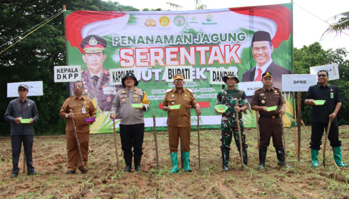 BERSAMA: Forkopimda Sumenep menanam jagung bersama dalam rangka mendukung program nasional swasembada pangan. (Foto: Dok. Warta9)