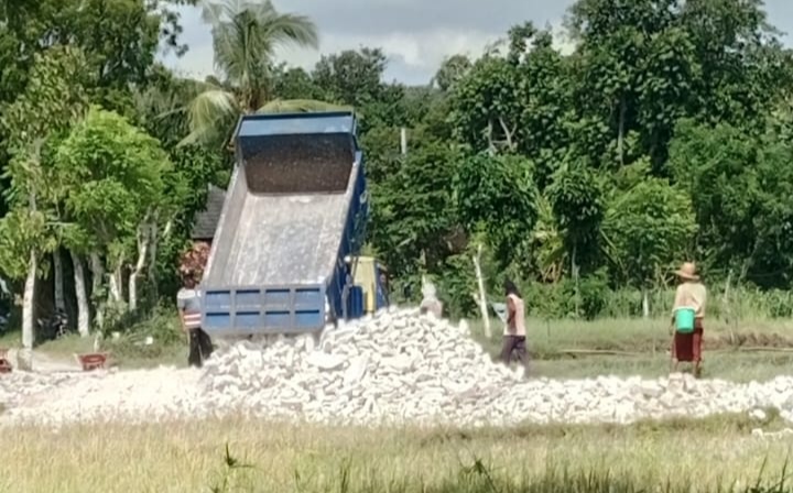 Aktivitas di lokasi pengrusakan lahan. (Foto: Istimewa)