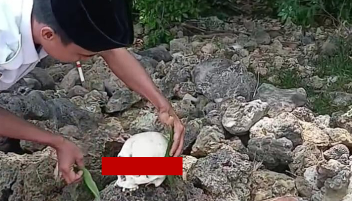 Penemuan kerangka kepala manusia di bibir pantai Desa Poteran, Talango Sumenep. (Foto: Dok. Warta9).