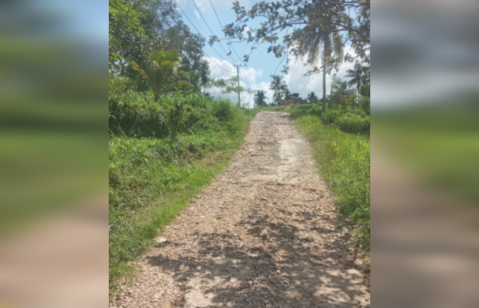 Potret kondisi jalan di Desa Lebeng Timur dikeluhkan oleh warga.