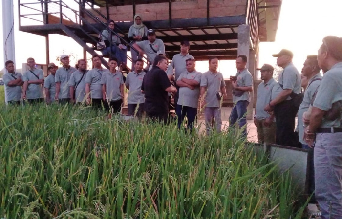 Pak Heri Sunarto Selaku pengelola Rohani Farm Sukoharjo saat memberikan materi kepada peserta Bumdes dan Kades di lahan pertanian terpadu. (Foto: Dok. Warta9).