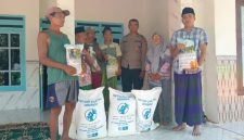 Kanit Binmas Polsek Gapura Aiptu Nur Yusuf, S.H., bersama Penyuluh Pertanian Lapangan (PPL) dan anggota Kelompok Tani Song Osong Lombung menunjukkan bantuan benih jagung hibrida TB10, Sabtu (30/5/2026). 