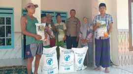 Kanit Binmas Polsek Gapura Aiptu Nur Yusuf, S.H., bersama Penyuluh Pertanian Lapangan (PPL) dan anggota Kelompok Tani Song Osong Lombung menunjukkan bantuan benih jagung hibrida TB10, Sabtu (30/5/2026). 